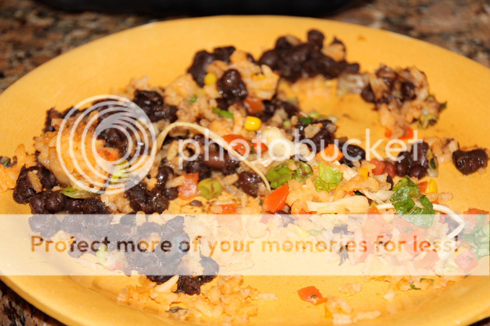 Black Bean Baby The Happy Housewife™ Real Life